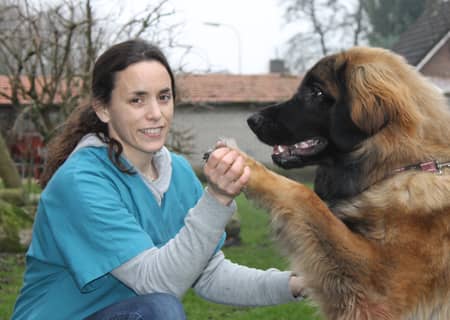 Gabriela Rego - Dierenartsenpraktijk Vriezenveen